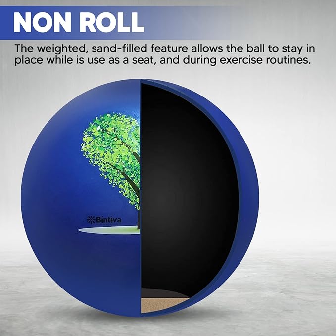 bintiva Exercise Ball