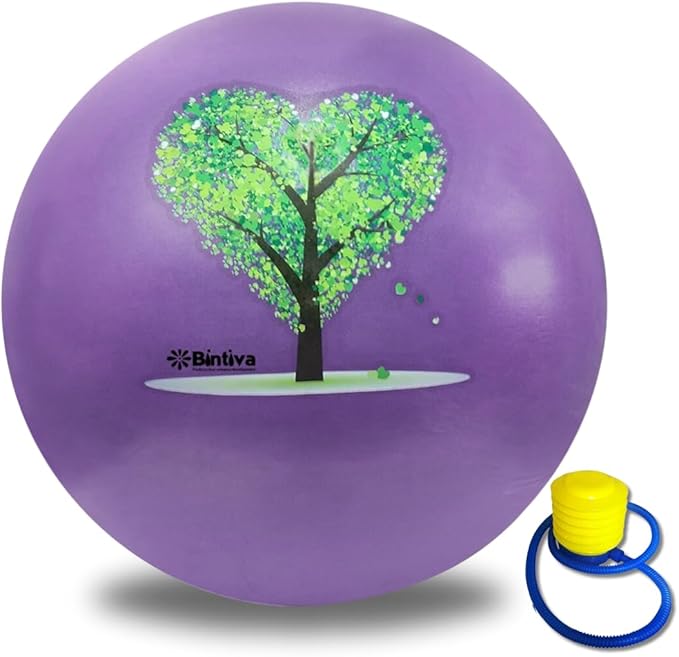 bintiva Exercise Ball
