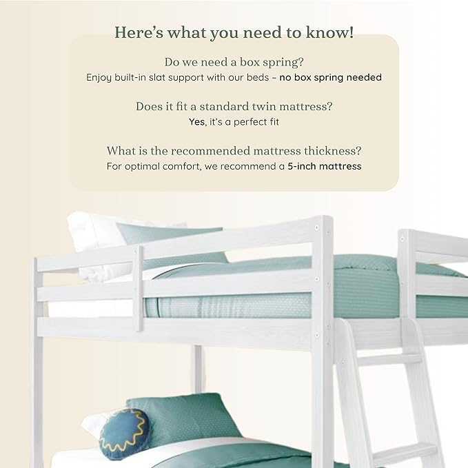 Grain & Grove Bear Twin Over Twin Bunk Bed, Low Bunk Bed Frame for Kids, Bunk with Ladder, Guardrail, and Slats, No Box Spring Required, Brushed White