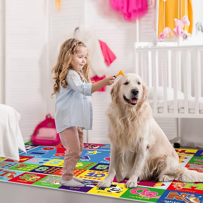 3X5 ABC Kids Rugs for Playroom